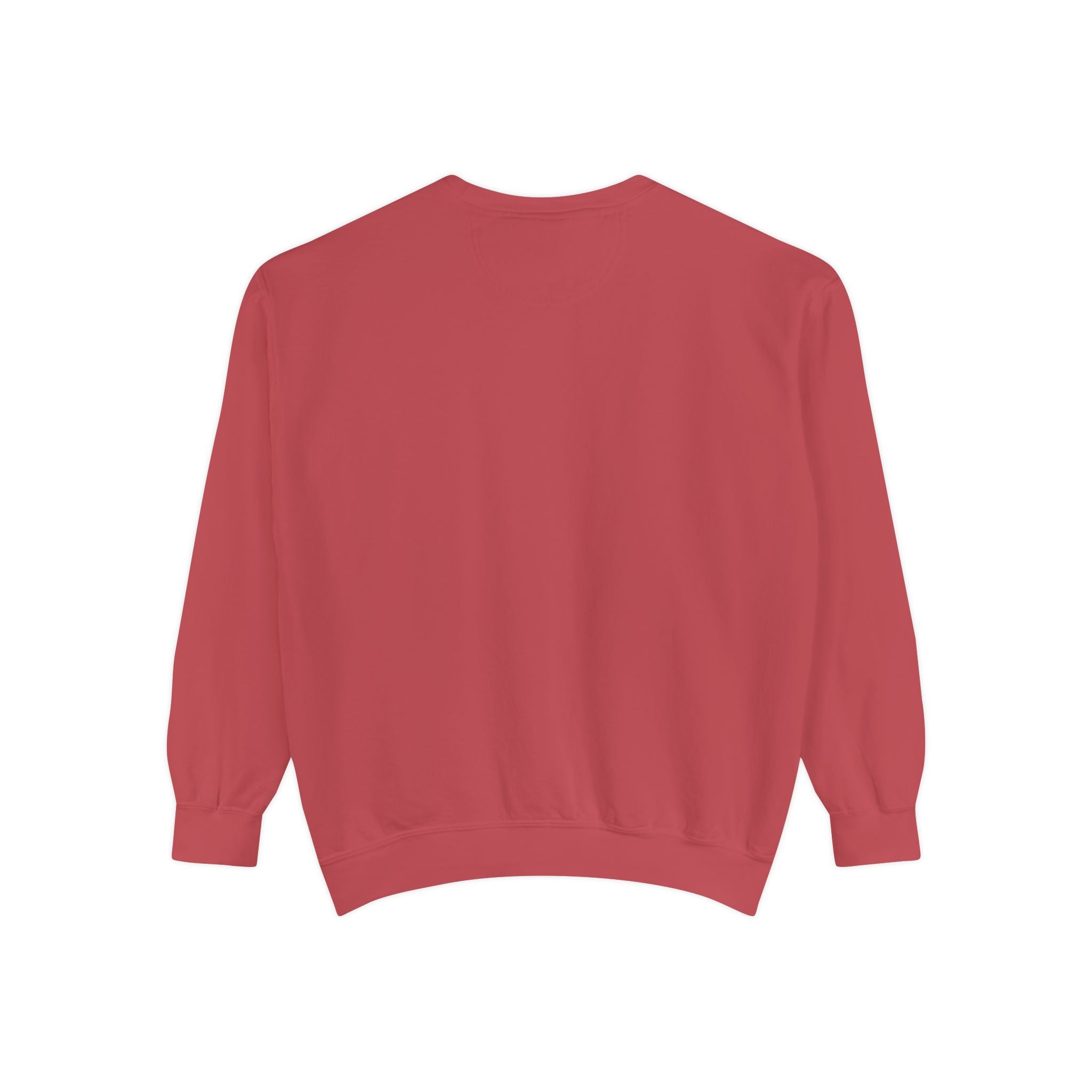 NVDC Minimal Sweatshirt — Garment-Dyed Coral Crewneck