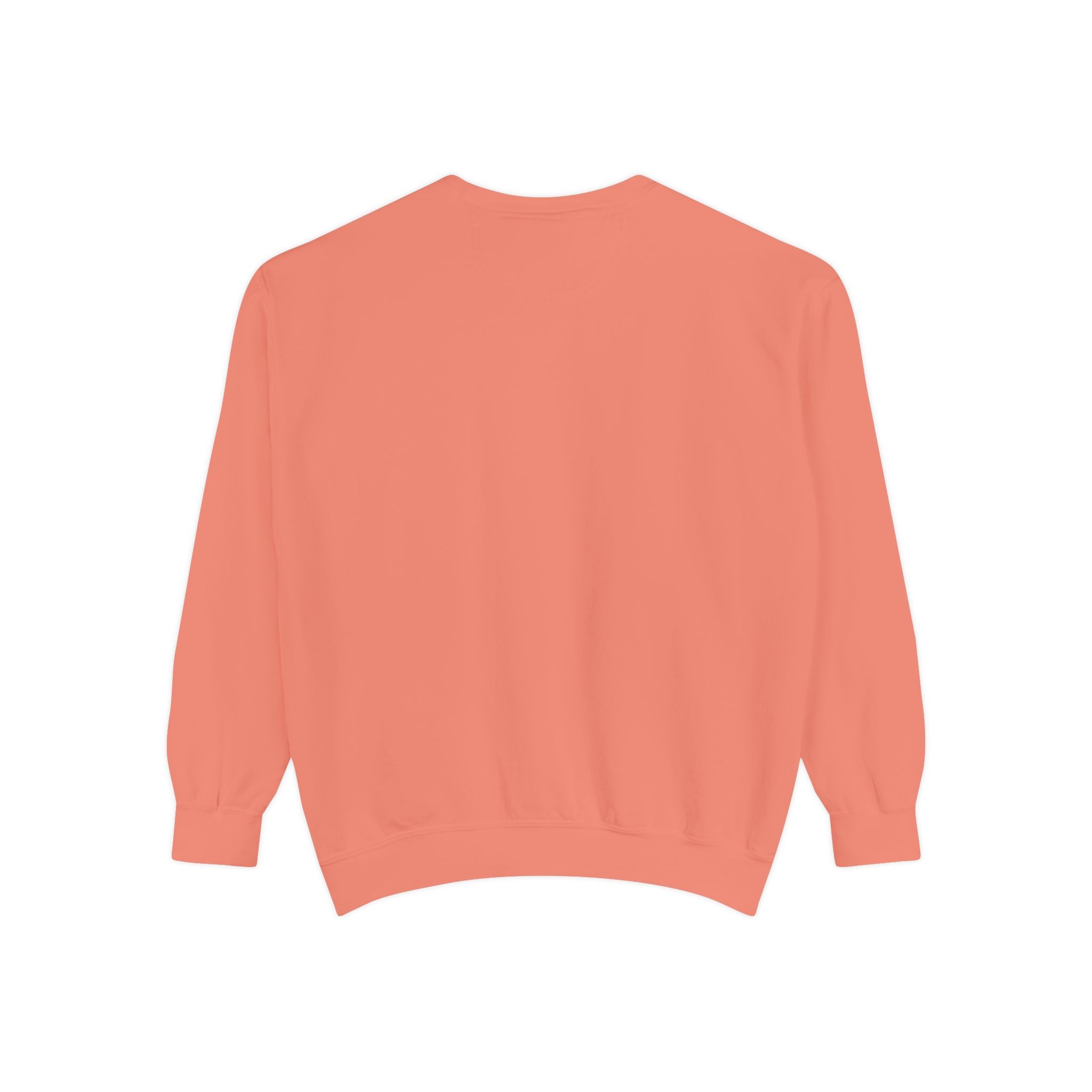 NVDC Minimal Sweatshirt — Garment-Dyed Coral Crewneck