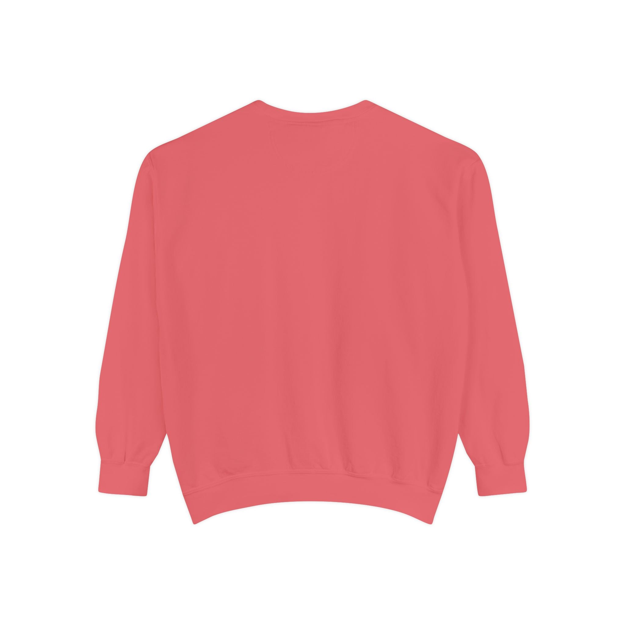 NVDC Minimal Sweatshirt — Garment-Dyed Coral Crewneck