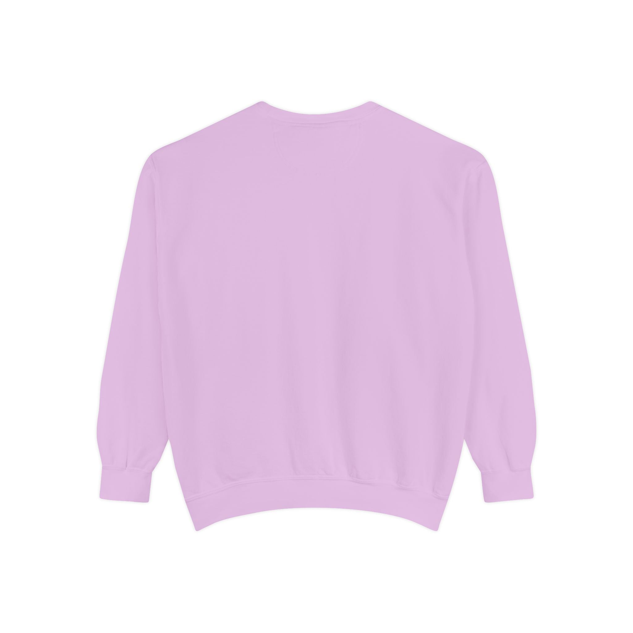 NVDC Minimal Sweatshirt — Garment-Dyed Coral Crewneck