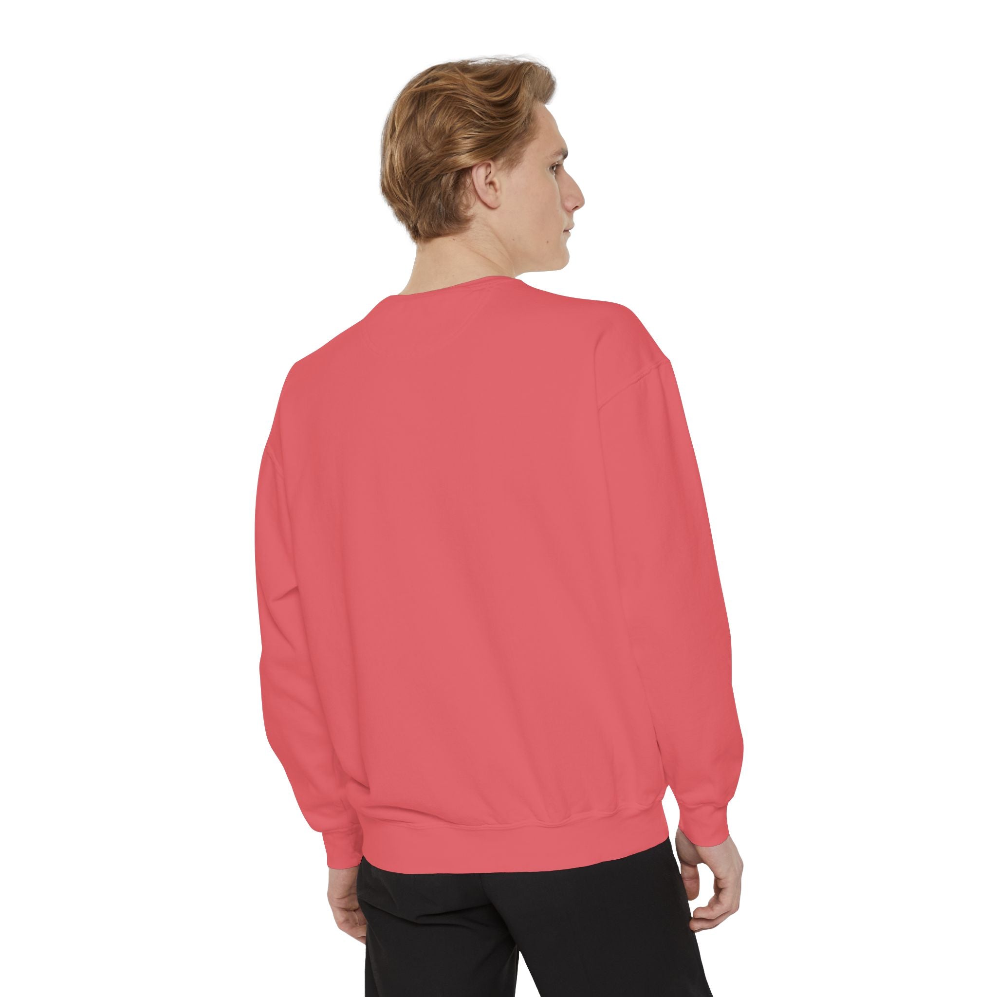 NVDC Minimal Sweatshirt — Garment-Dyed Coral Crewneck