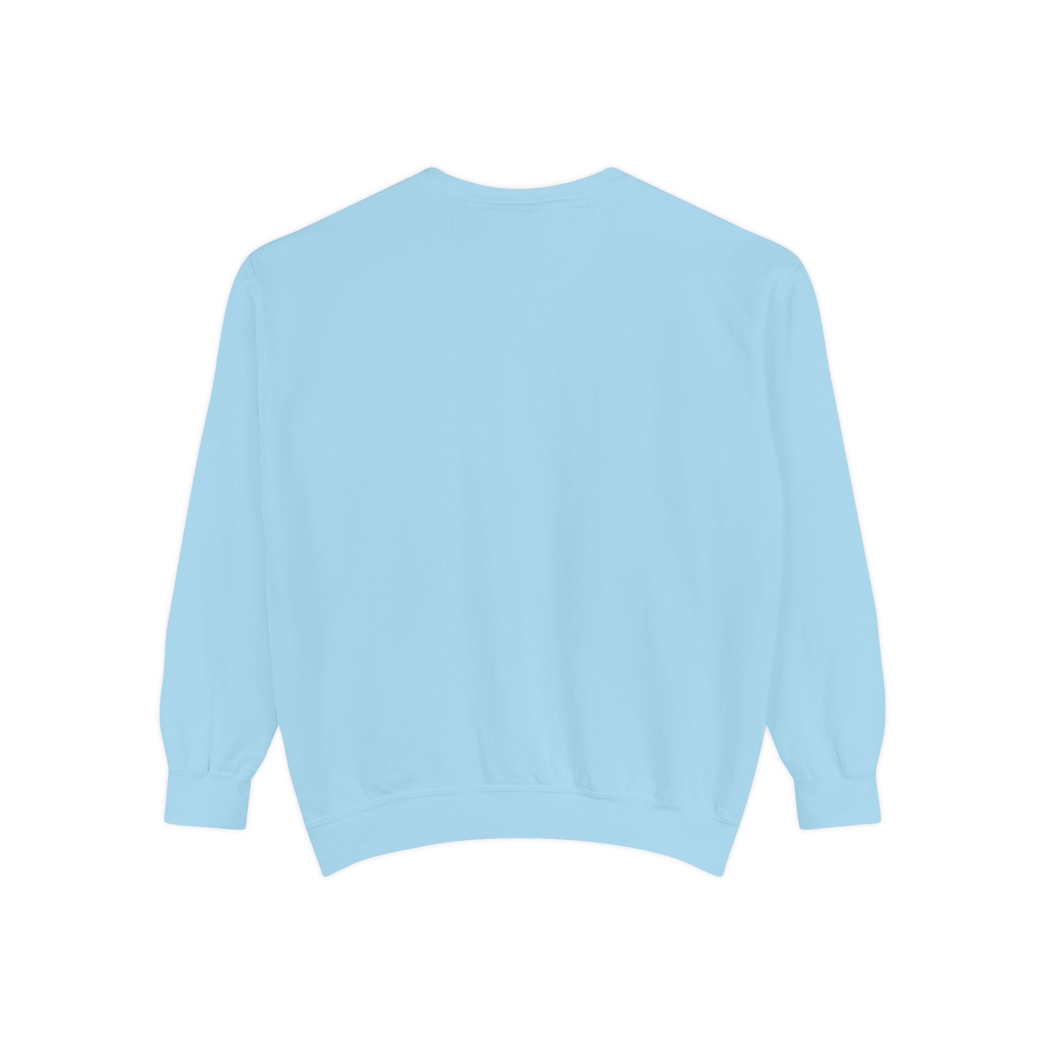NVDC Minimal Sweatshirt — Garment-Dyed Coral Crewneck