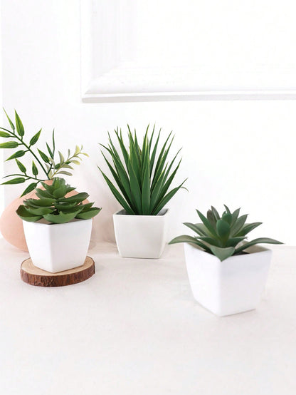 1set 3pcs/1pc Faux Succulent Mini Potted Plant Combination