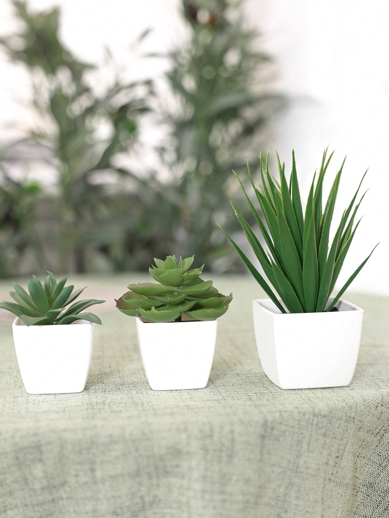 1set 3pcs/1pc Faux Succulent Mini Potted Plant Combination