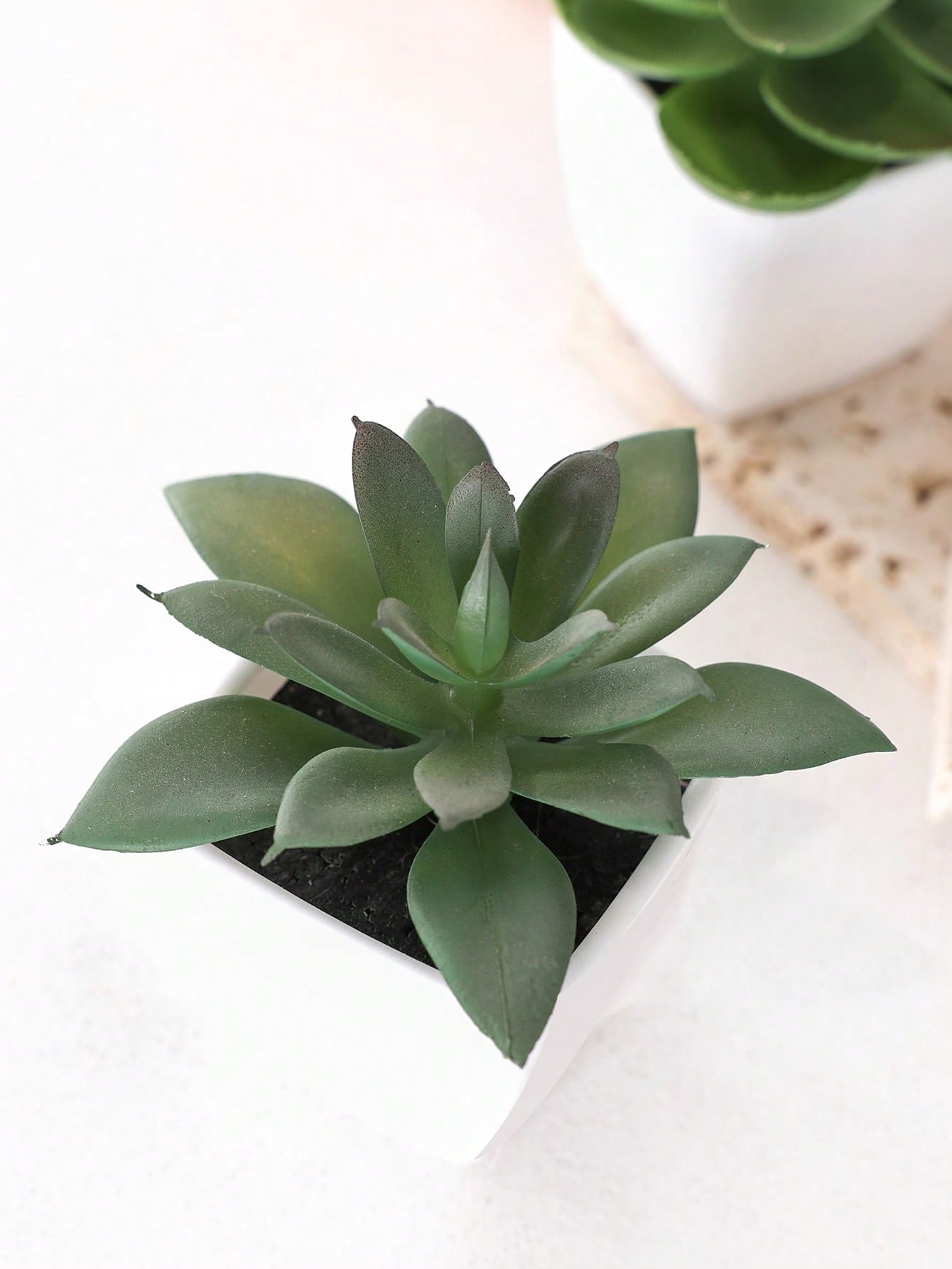 1set 3pcs/1pc Faux Succulent Mini Potted Plant Combination