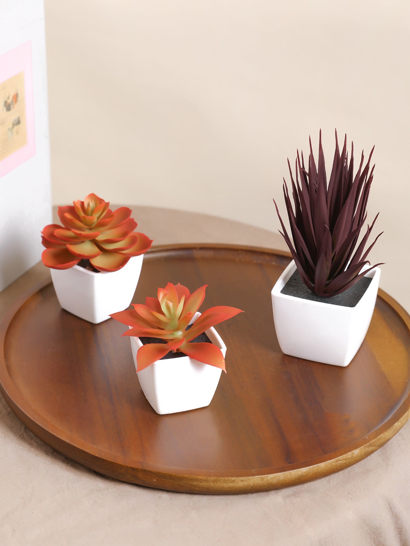 1set 3pcs/1pc Faux Succulent Mini Potted Plant Combination