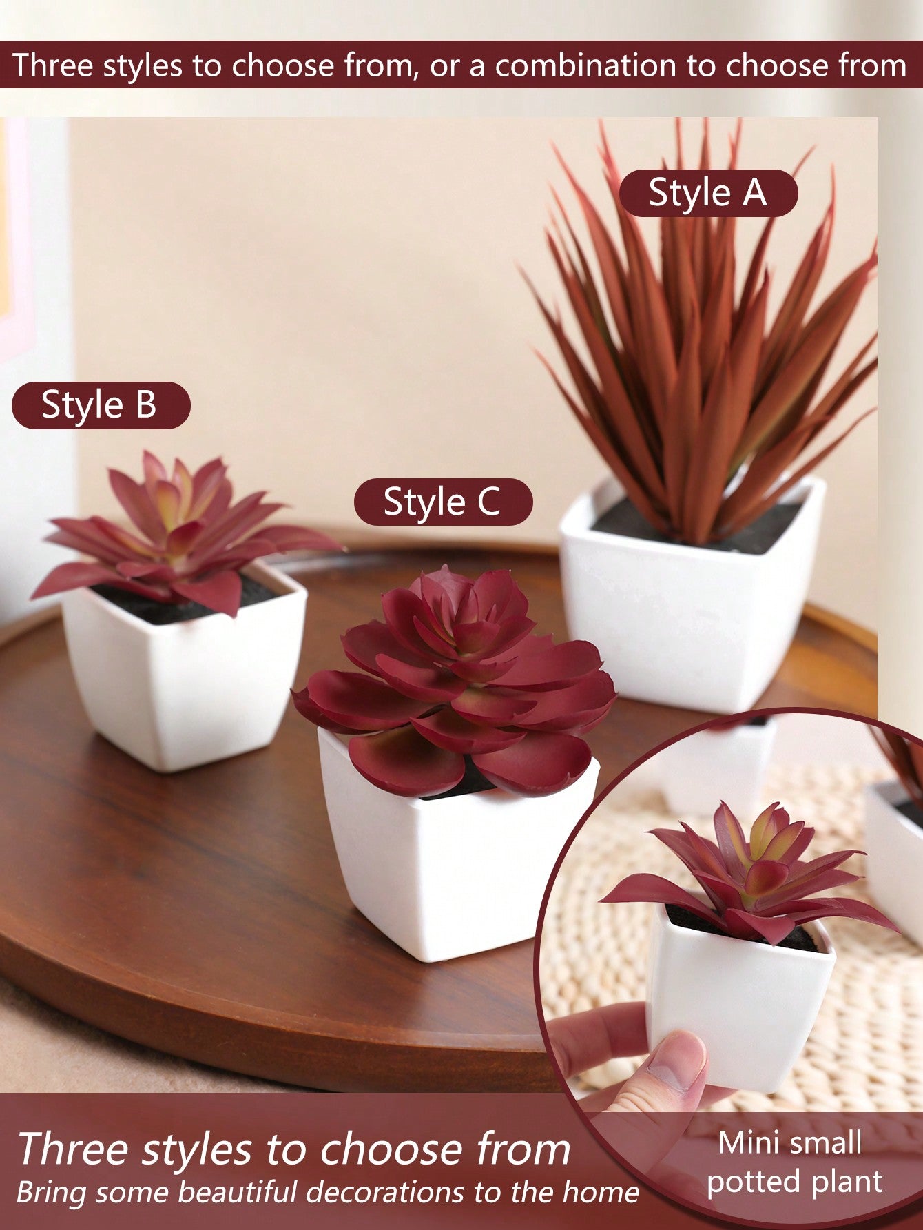 1set 3pcs/1pc Faux Succulent Mini Potted Plant Combination