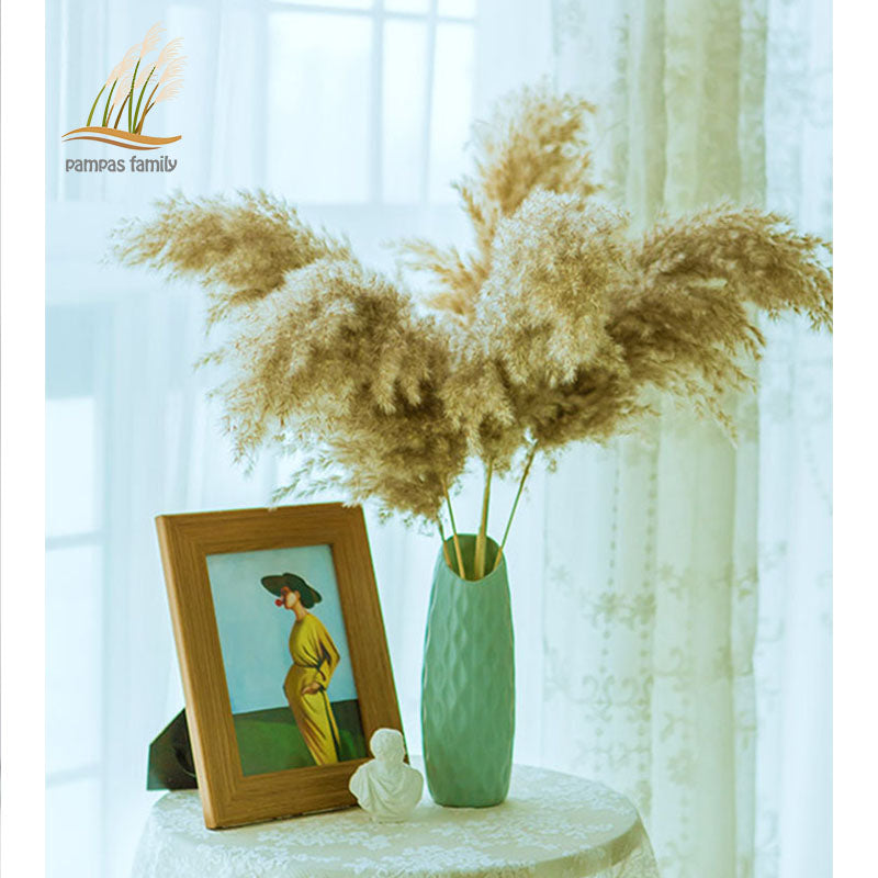 Pampas grass dried flowers bunch  with feather flowers.