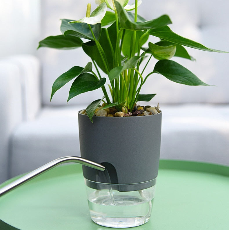 Double Layer Self Watering Flowerpot