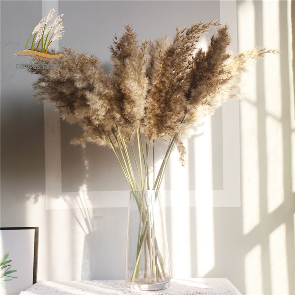 Pampas grass dried flowers bunch  with feather flowers.