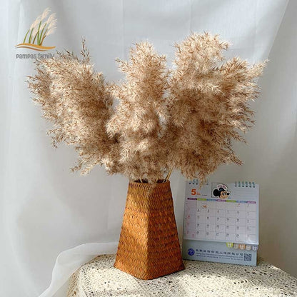 Pampas grass dried flowers bunch  with feather flowers.