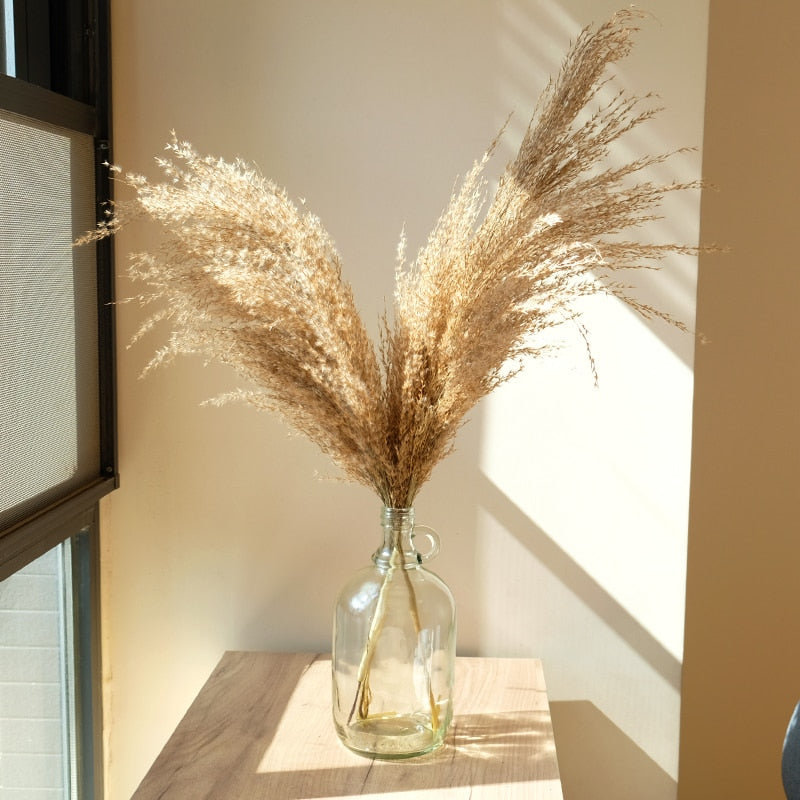 Pampas grass dried flowers bunch  with feather flowers.